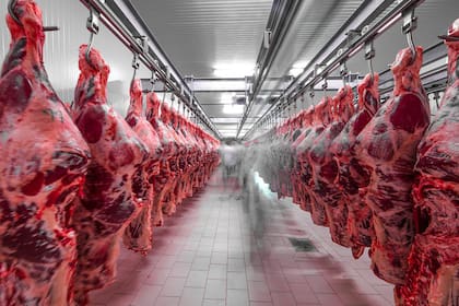 La faena de abril cayó 9,1% versus igual mes de 2023