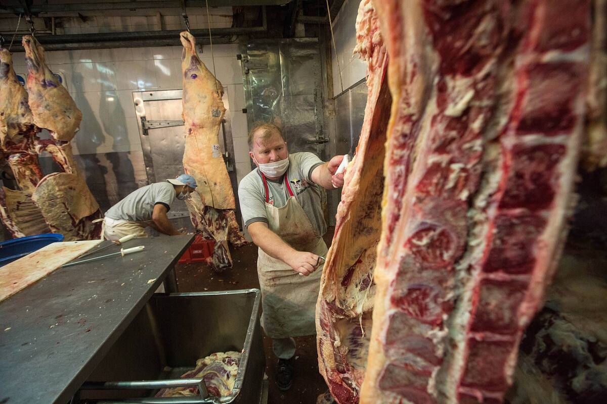 La faena vacuna en la Argentina fue de 14.231.789 cabezas, un 3% superior a 2019