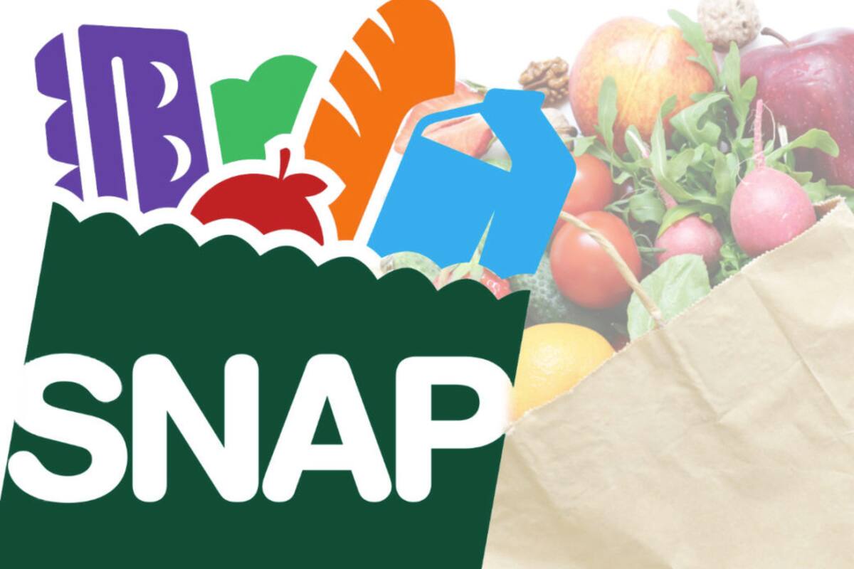 La falta de fondos federales paralizó el programa SNAP y obligó a varios estados a usar recursos propios