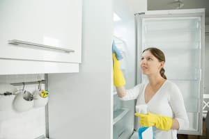 La falta de limpieza este electrodoméstico puede traer la acumulación de bacterias y hongos perjudiciales para la salud (imagen ilustrativa)