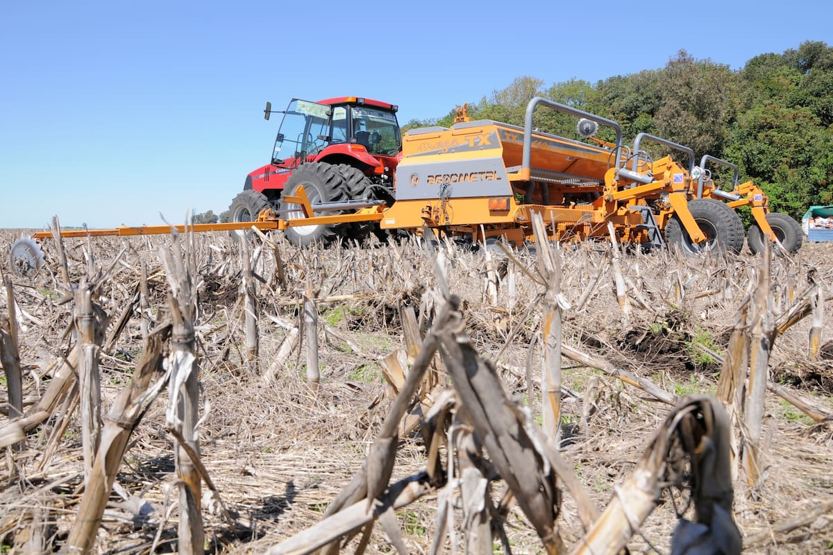 La falta de lluvias atrasa la siembra
