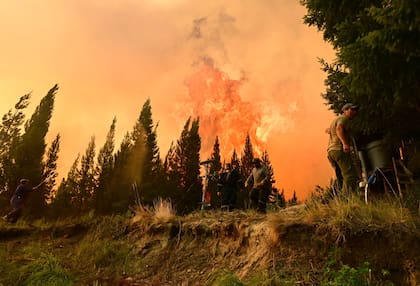 La falta de lluvias condiciona las tareas en las zonas más castigadas y ya son miles de hectáreas afectadas por el fenómeno