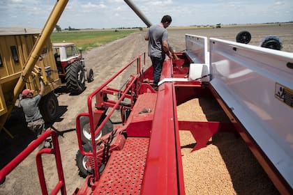 La falta de lluvias desaceleró la siembra en la región núcleo