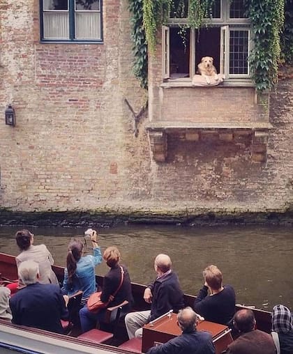 La fama de Fidéle atravesó las fronteras de Bélgica y todo el mundo sabía de su existencia
