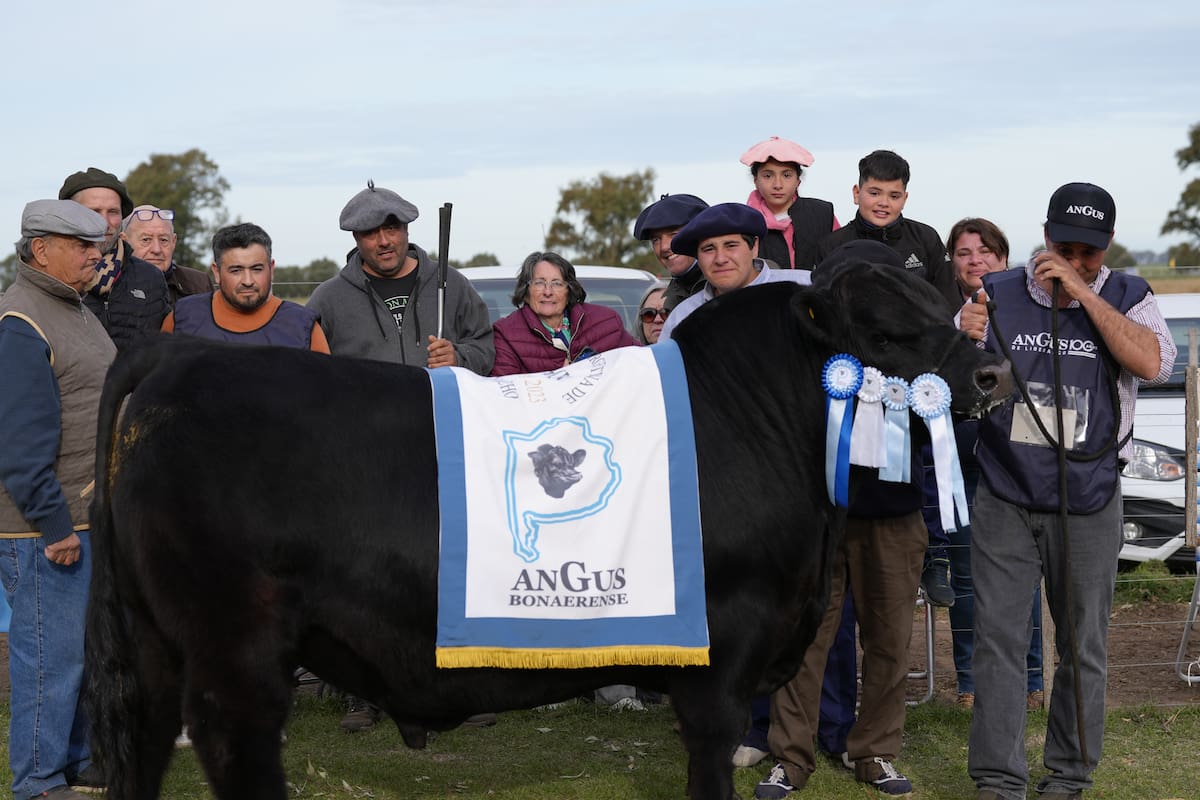 La familia Álvarez con Peludo, el toro dos años menor de la cabaña La Chingola; Juan Manuel, emocionado, tiene al animal del bozal