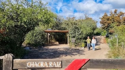La familia convirtió parte de su terreno en un refugio turístico que busca aprovechar los recursos naturales de la región (Foto: YouTube / Sueños de ruta)