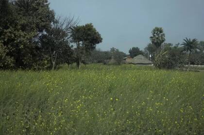 La familia de la niña vive en un pueblo del interior de Bihar