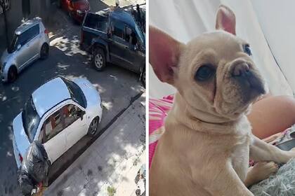 La familia de Violeta lanzó una campaña en redes