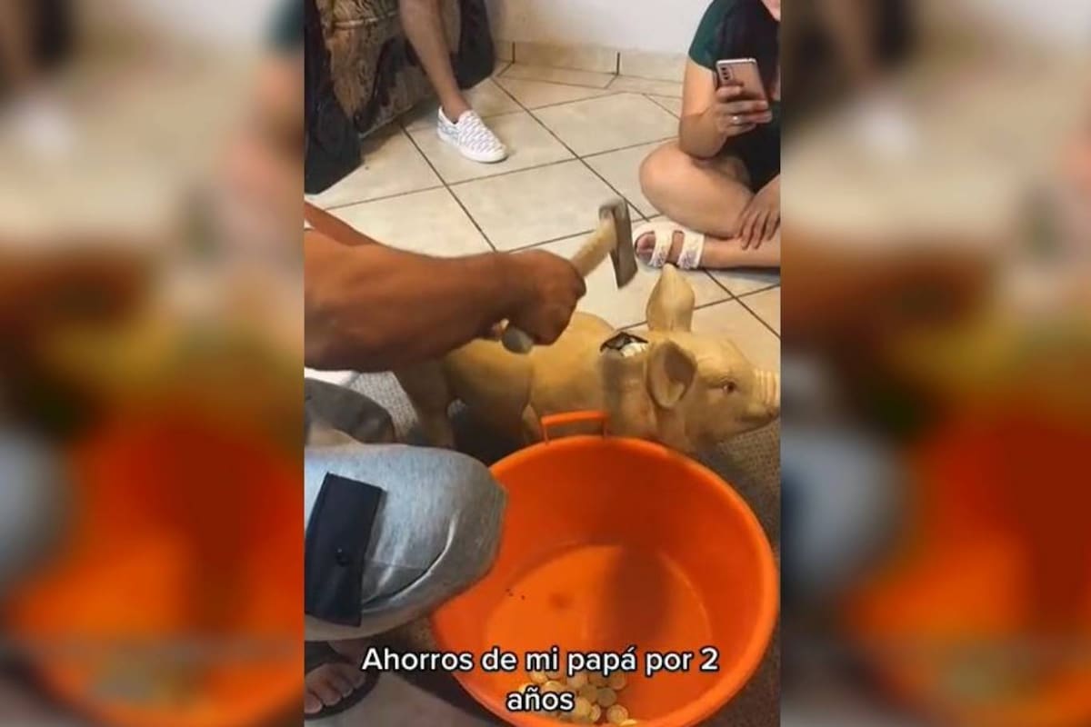 La familia del carnicero rompió el chanchito en el que el comerciante había puesto cambio chico durante dos años y la cifra que encontraron sorprendió a todos