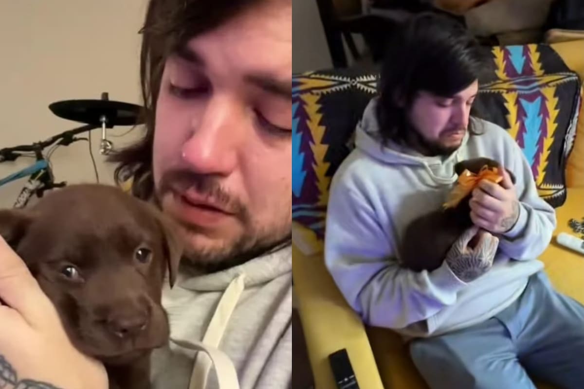 La familia del joven que se quedó sin trabajo le hizo un emotivo regalo (Foto: TikTok: @juani_muller)