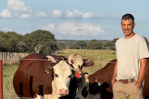 El sorprendente cambio que tuvo un campo de 2400 hectáreas que estaba degradado
