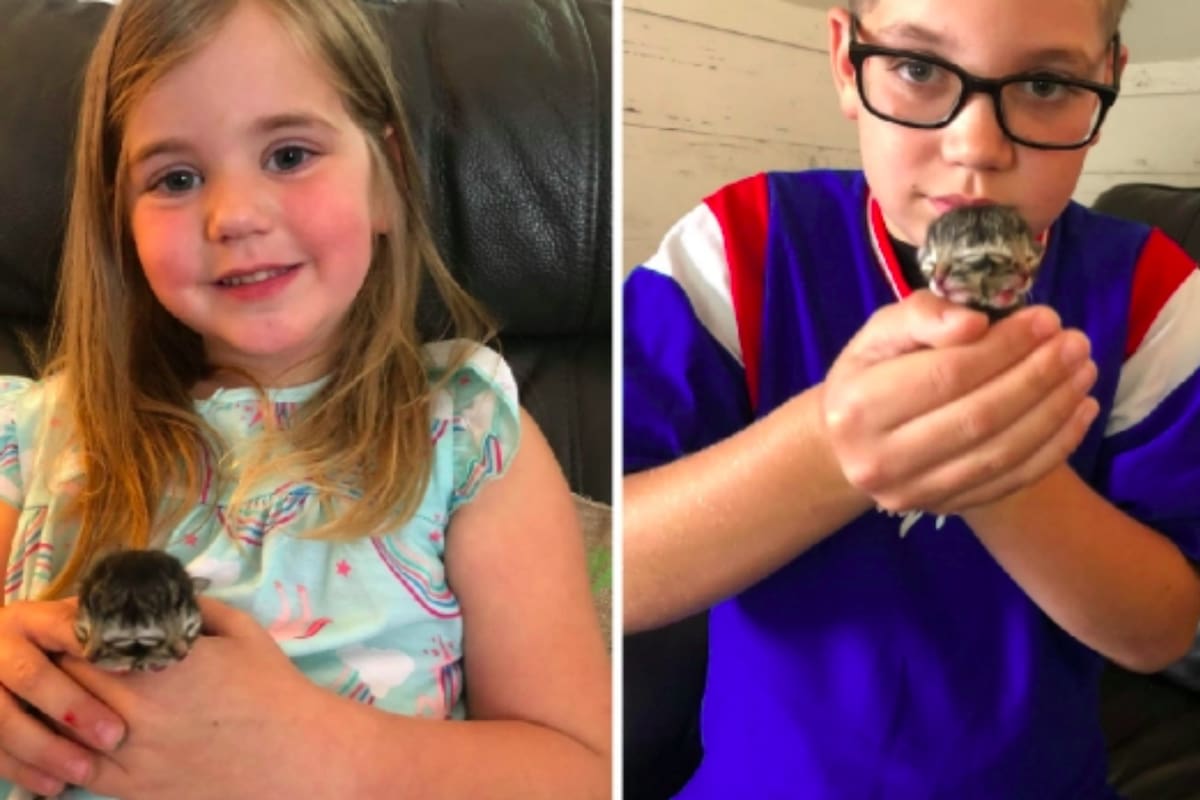 La familia oriunda de Oregon se llevó una gran sorpresa a descubrir que uno de los gatitos que había dado a luz su mascota tenía dos caras