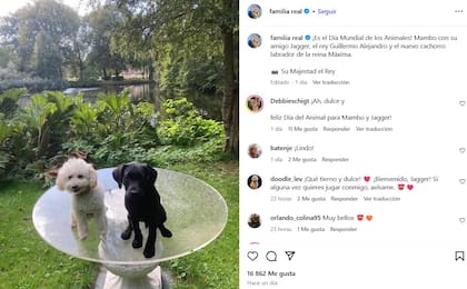 La Familia Real presentó en sociedad la llegada de Jagger, un perro labrador de color negro