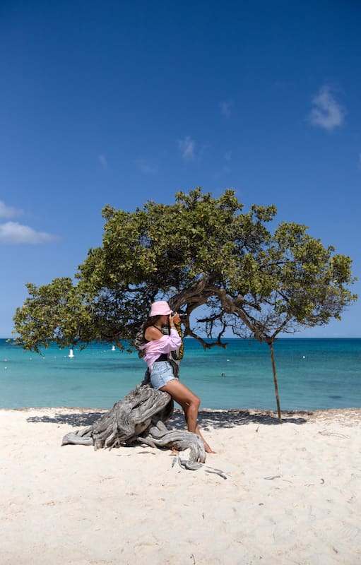 La famosa Eagle Beach y su típico árbol fofoti, uno de los más famosos de Aruba.