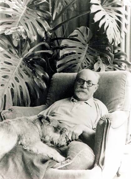 La famosa monstera que inspiró la obra de Matisse