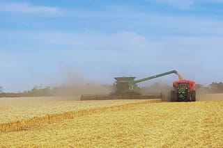 La FAO advierte de un nuevo repunte mundial de los precios de los alimentos