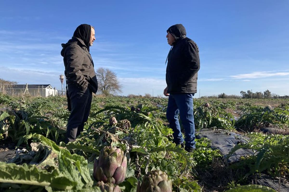 La FAO brindó cooperación técnica para fortalecer el funcionamiento operativo y comercial de las asociaciones y cooperativas que poseen productos registrados por la Sagyp a nivel nacional con Indicación Geográfica (IG) y Denominación de Origen (DO)