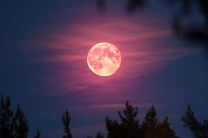 La fecha de la Luna rosa de abril en la Argentina