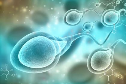 La fecundación in vitro ha ayudado a muchas parejas, pero aún no se ha legislado sobre el destino de los embriones almacenados