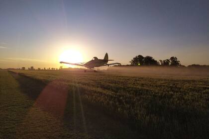 La Federación Argentina de Cámaras Agroaéreas (Fearca) realizó un informe de las ventajas comparativas en rentabilidad entre las aplicaciones terrestres y aéreas en cada uno de los cultivos.