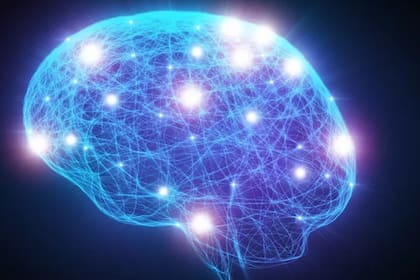 La Federación Mundial de Neurología eligió el 22 de julio para promover conciencia sobre el potencial, los riesgos y enfermedades del cerebro