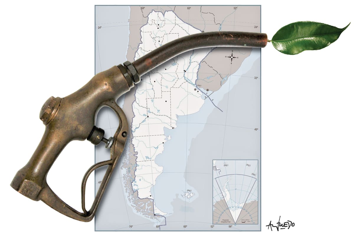 La federalización y los biocombustibles