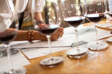 Cuál es el vino que se probará por primera vez en Bonvivir Wine Experience, la feria con más de 40 bodegas y 200 etiquetas