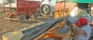 Advierten por la pérdida de fertilidad de los suelos y presentan un proyecto para impulsar la inversión en fertilizantes