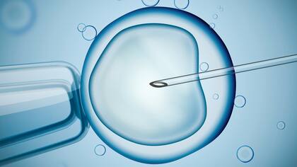 A pesar de los avances, los expertos subrayan que la IA aún tiene un largo camino por recorrer en las áreas vinculadas a fertilidad