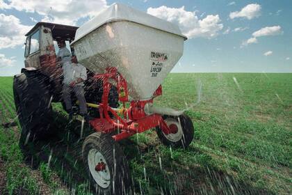 La fertilización requiere seguir pautas