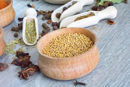 La fibra que contienen las semillas de mostaza contribuyen a una digestión más saludable (Foto ilustrativa: PIXABAY)