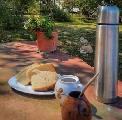 La fiel compañía: el mate y el perro.