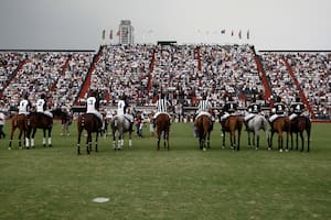 La final del Abierto de Palermo es el partido más importante del polo en cada año, y ésta, de 2010, lo fue aun más: la victoria en el clásico contra La Dolfina otorgó a Ellerstina la Triple Corona, el máximo logro en su historia de 30 años.