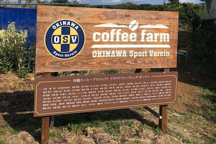 La finca cafetera del Okinawa SV, el club de Naohiro Takahara