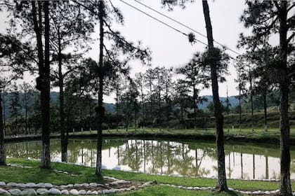 La finca de Pelé está llena de lujos, ya que residió en ese lugar durante muchos años