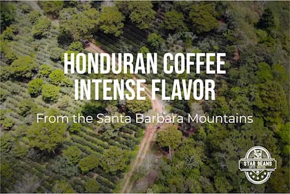 La finca El Gavilán se ubica en Santa Bárbara, Honduras, y produce el café de Starbeans Coffe (starbeanscoffeeroasters.com)