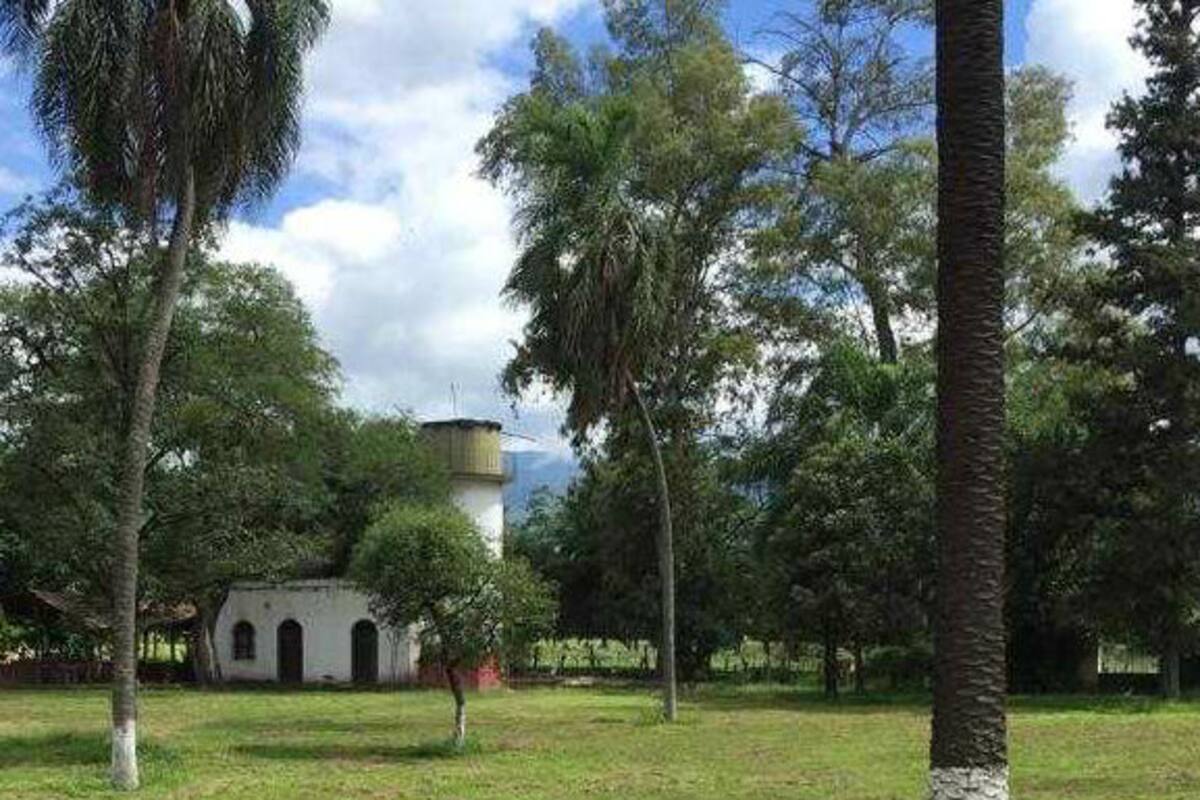La finca El Pongo, primer lugar del país donde se cultivará cannabis en forma legal