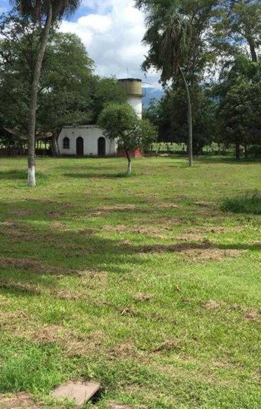 La finca El Pongo, primer lugar del país donde se cultivará cannabis en forma legal