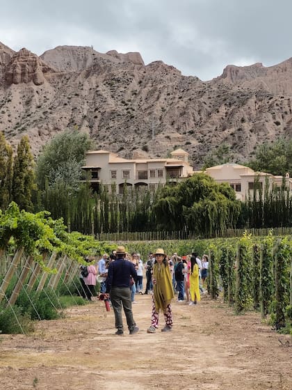 La finca Ollantay de la familia Manzur es uno de los emprendimientos vitivinícolas de Maimará