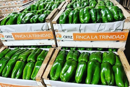 La finca provee productos a los mercados de todo el país