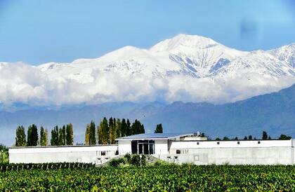 La finca se encuentra al pie de la cordillera de los Andes