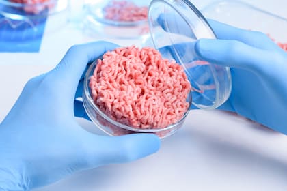La firma argentina Granja celular está creando un biobanco de células madre para generar carne de laboratorio
