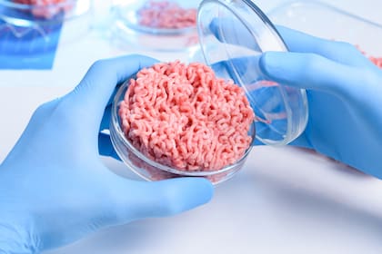 El gobernador Ron DeSantis prohíbe la venta de carne cultivada en laboratorio en el estado de Florida