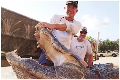La firma Florida Gator Hunting cazó al animal, que pesó poco más de 417 kilos