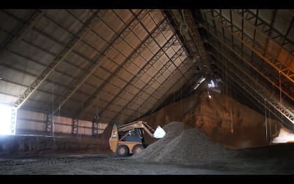 La firma industrializa el producto