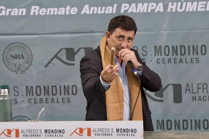 La firma Mondino tendrá su subasta en Palermo el 23 del actual