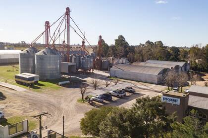 La firma Semillas Biscayart concretará una inversión de un millón de dólares en su planta de semillas forrajeras