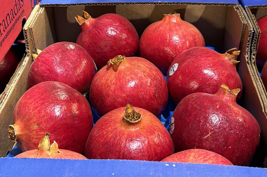 Competencia en la exportación de granadas: una PyME cordobesa frente a gigantes internacionales
