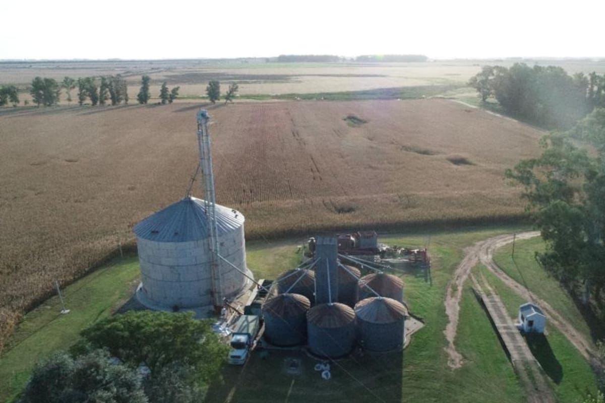 La firma tuvo un fuerte crecimiento en sus negocios en los últimos años. Entre otros negocios controla la firma de producción agrícola-ganadera Los Reartes SA