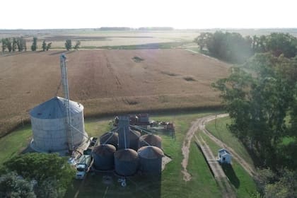 La firma tuvo un fuerte crecimiento en sus negocios en los últimos años, entre otras actividades con la firma de producción agrícola ganadera Los Reartes SA